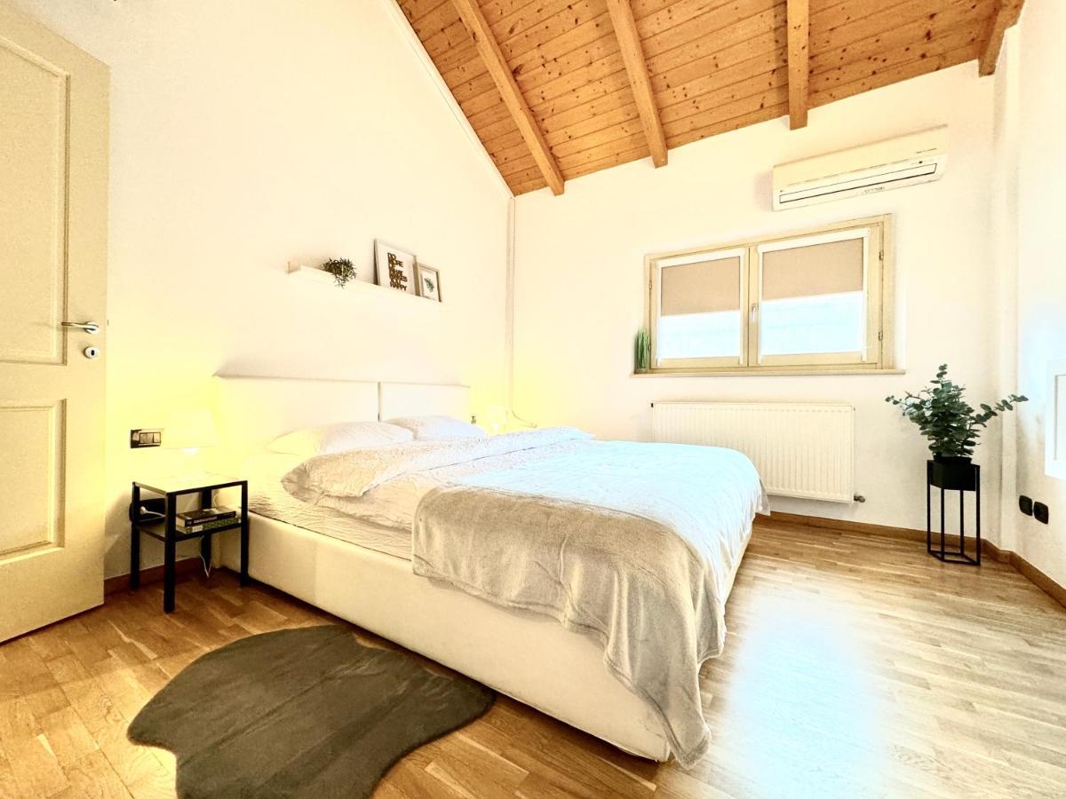 The Loft Apartment ทิมิชัวรา ภายนอก รูปภาพ