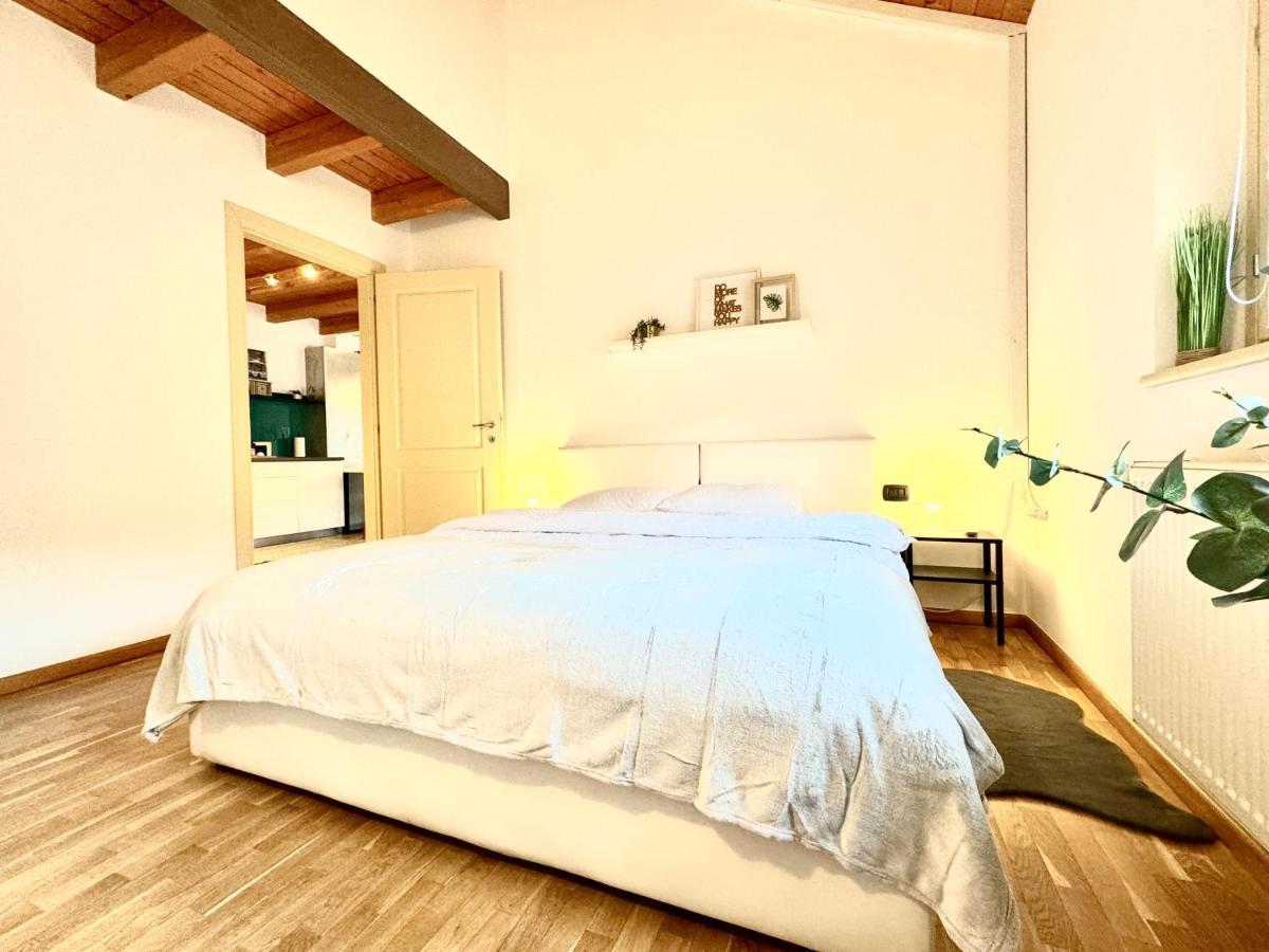 The Loft Apartment ทิมิชัวรา ภายนอก รูปภาพ
